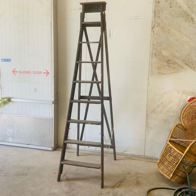 Very tall 9ft vintage timber step ladder steel hardware Other Garden