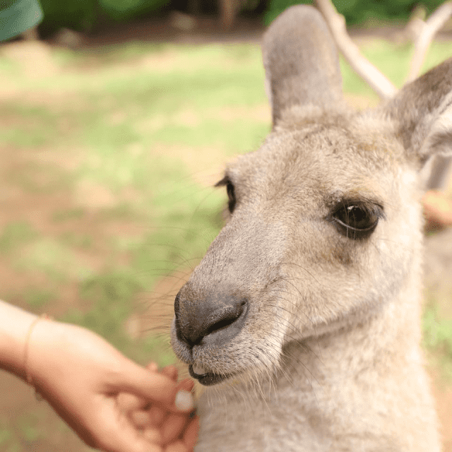 Are you looking for your next DREAM job?!(HELENSBURGH) Tour Guide