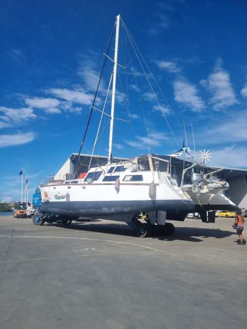 sailing catamaran for sale gumtree australia