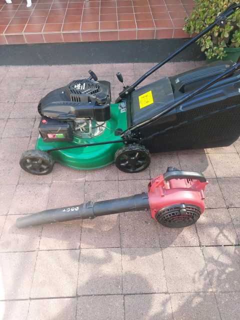 gardenline essentials lawn mower 161cc