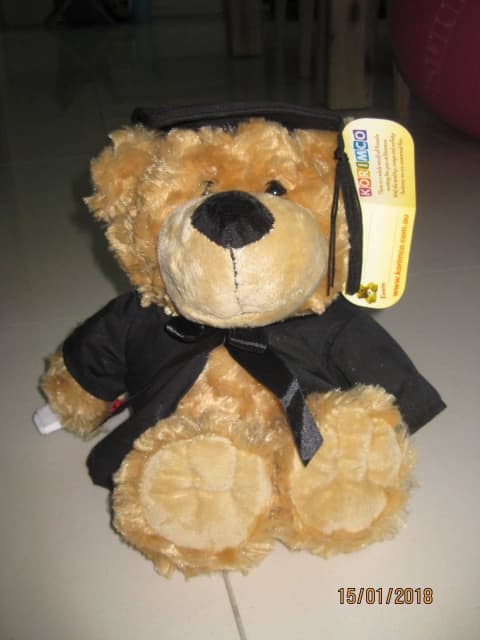 BNWT KORIMCO LARGE GRADUATION BEAR - Miscellaneous Goods in Graceville ...