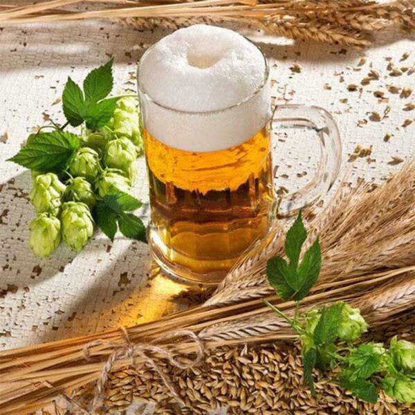 BEER HOPS PLANT SEEDS FOR SALE HERE ONLINE AUSTRALIA - Plants in ...