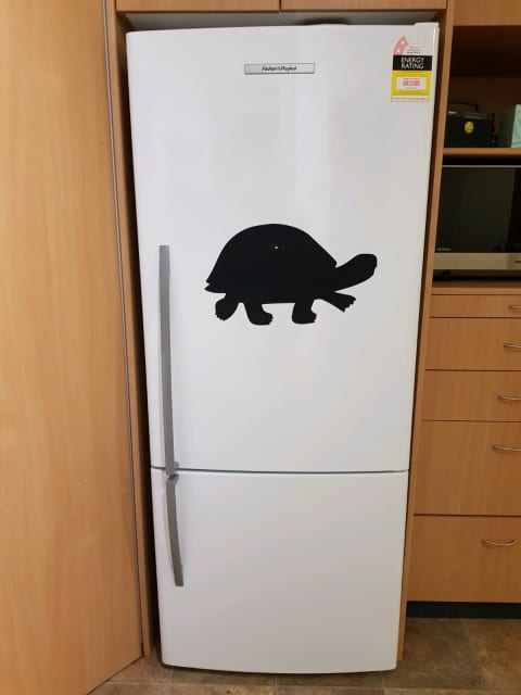 fridge 170cm high