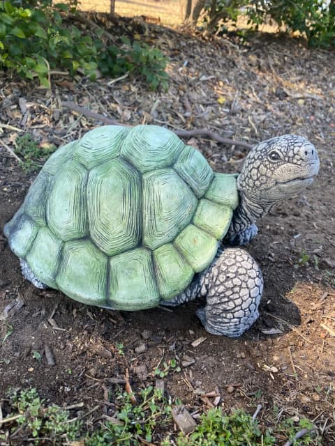 Concrete Turtle Garden Statue Ornament | Other Home & Garden | Gumtree ...