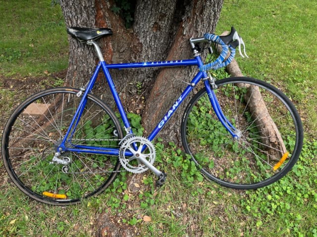 Giant allegre road sales bike