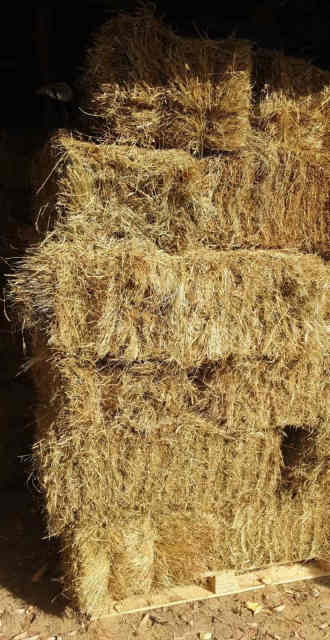 Hay for sale - Miscellaneous Goods in Mount Barker SA | Gumtree Australia