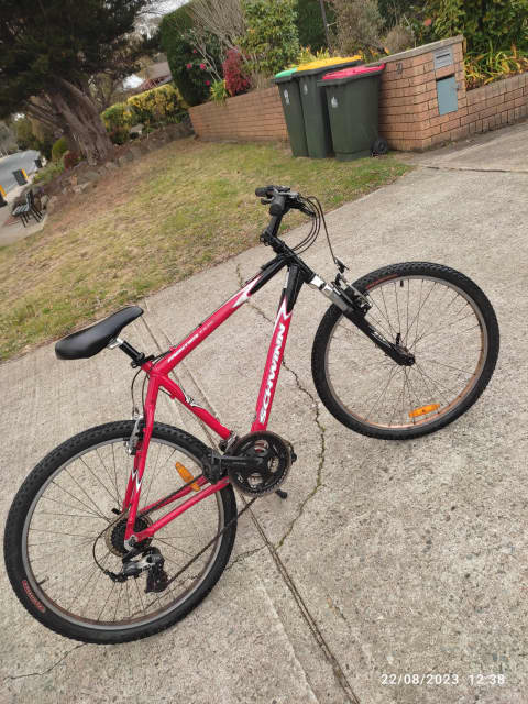 women's schwinn frontier mountain bike