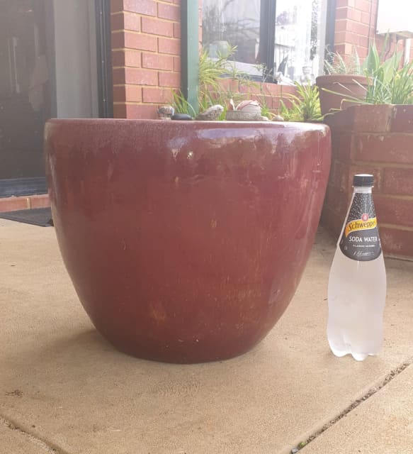 Large Glazed Plant Pot Pots & Garden Beds Gumtree Australia Bunbury