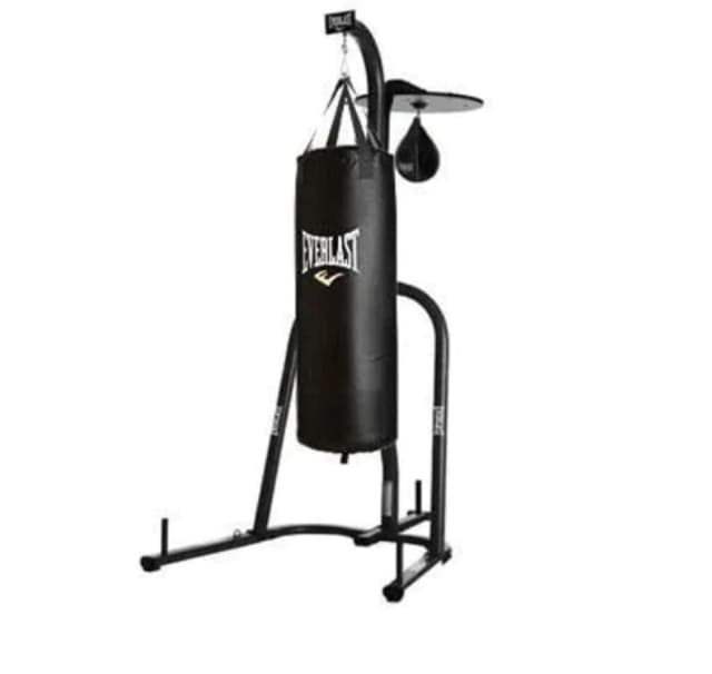 Everlast boxing stand and heavy bag and speed bag Boxing & Martial