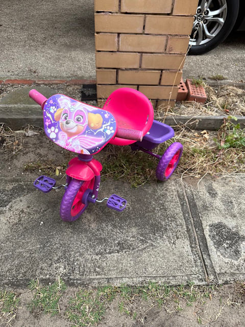 skye riding toy