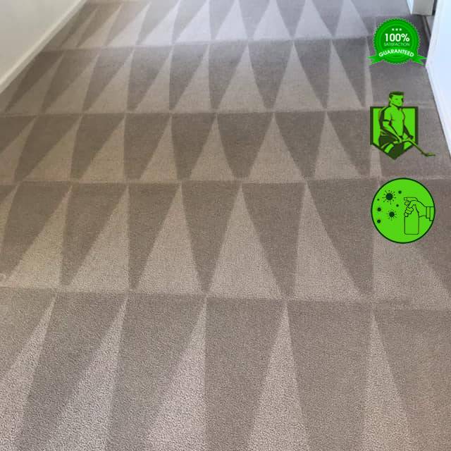Exit Bond Carpet Clean Cleaning Gumtree Australia Redcliffe Area