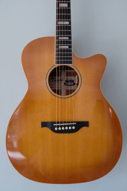 tokai guitars acoustic