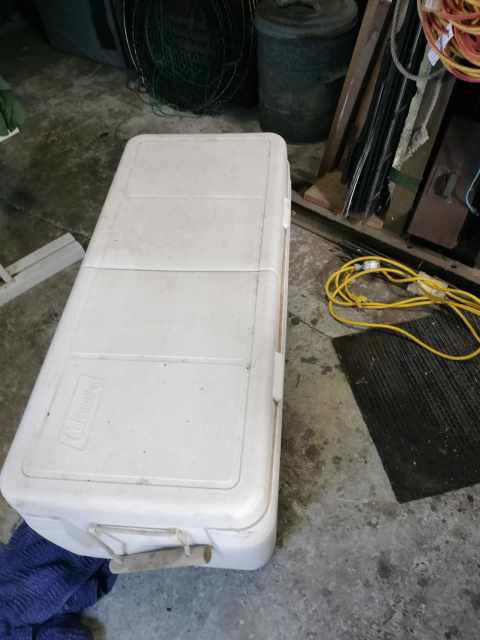 ESKY , large 150 liter coleman dual lid | Miscellaneous Goods | Gumtree ...