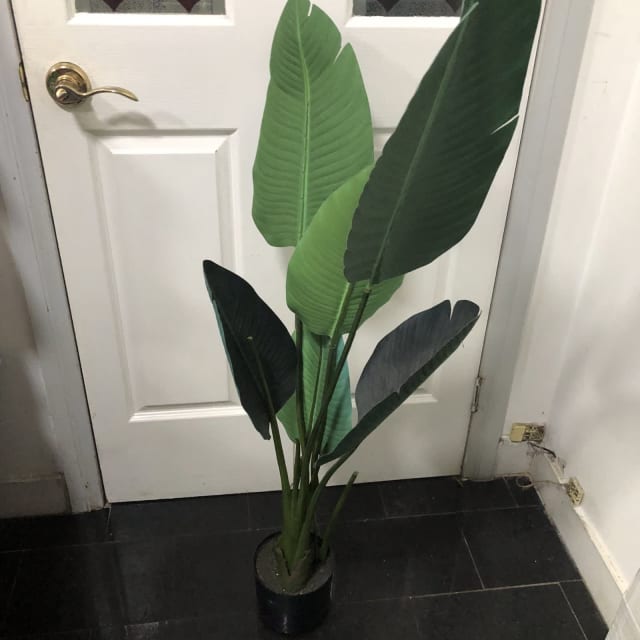 Artificial banana tree Miscellaneous Goods Gumtree Australia Marrickville Area