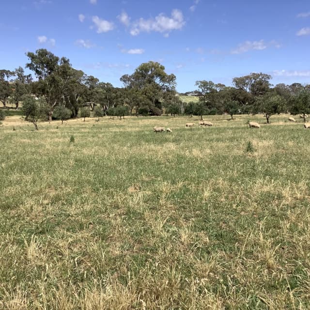 Land for sale Land For Sale Gumtree Australia Cabonne Area Cargo