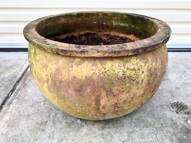Spectacular Large Antique Vintage Terracotta Plant Pot 52cm Diameter