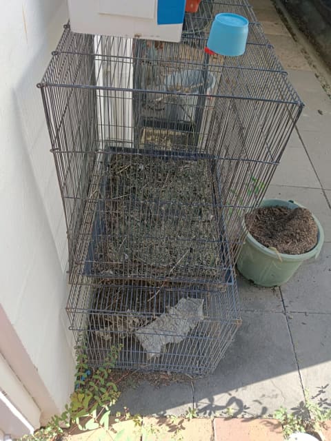 2 flight cages and a bird cage Pet Products Gumtree Australia