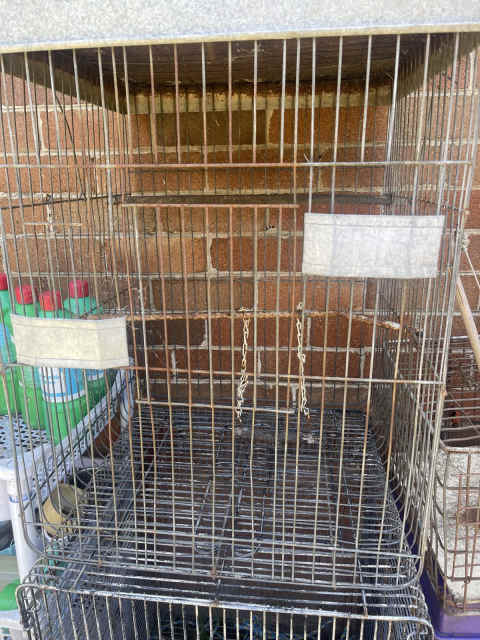 used parakeet cages for sale