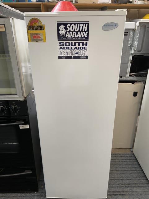 kelvinator 250l fridge