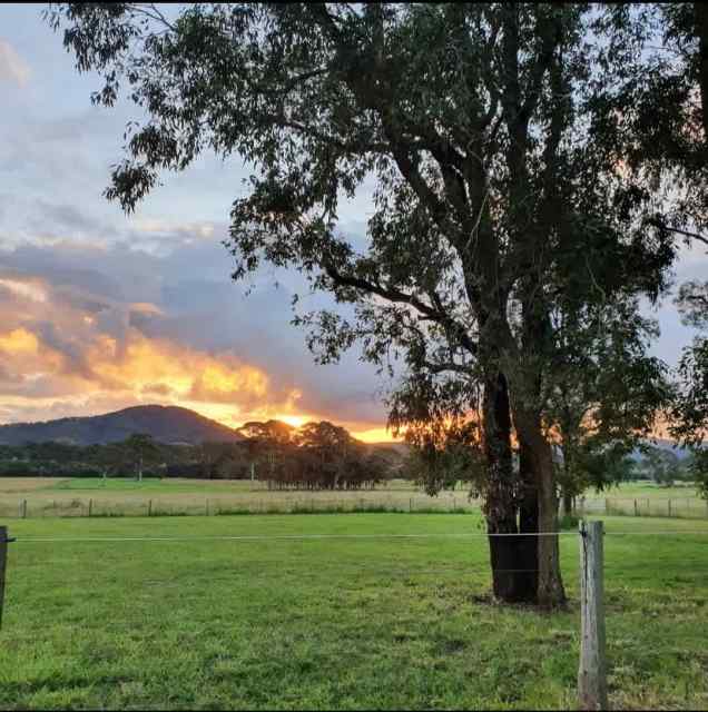 FOR LEASE. STUDIO FLAT SHEDS & 5 ACRES. Property for Rent Gumtree