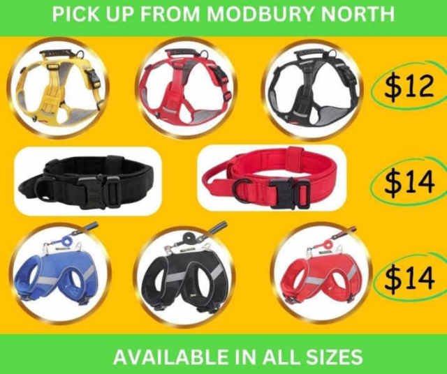 Dog/Cat/Pet Bed, harness, leash, toy, clothes, feeder, groom, travel