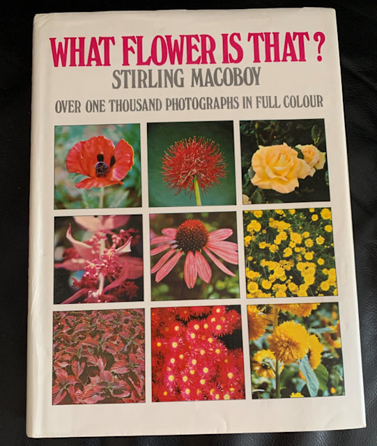 WHAT FLOWER IS THAT?BY PAUL HALMANIN EXCELLENT CONDITION