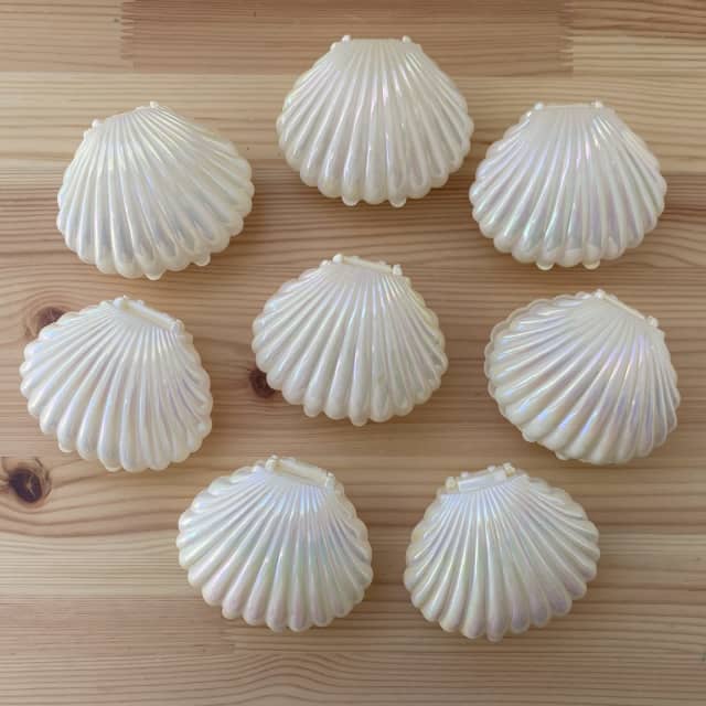 20 BRAND NEW Seashell Clam Shell Mermaid Party Favours, Miscellaneous  Goods, Gumtree Australia Sutherland Area - Oyster Bay