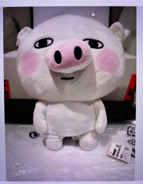 Large Cute Japanese “Ugly Pig” Toy | Toys - Indoor | Gumtree Australia  Perth City Area - Perth | 1304222863