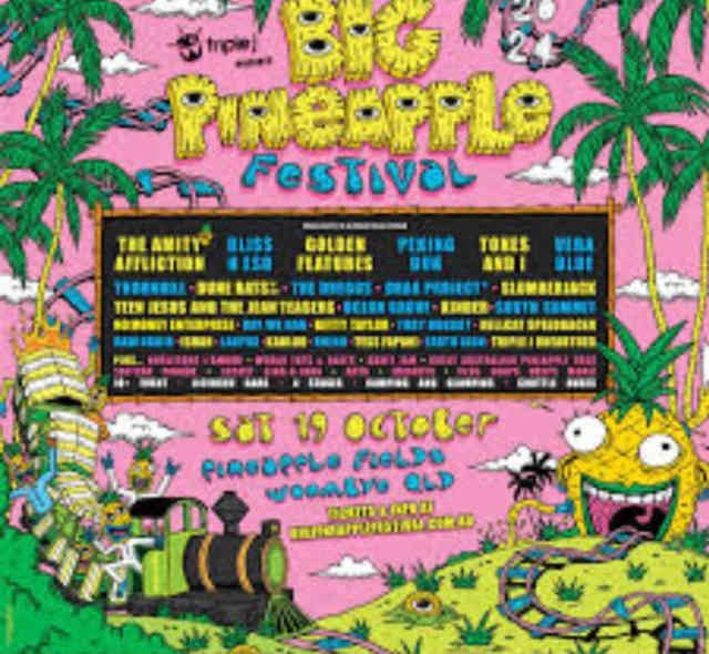 Big Pineapple Tickets x2 180 Miscellaneous Goods in Buderim QLD