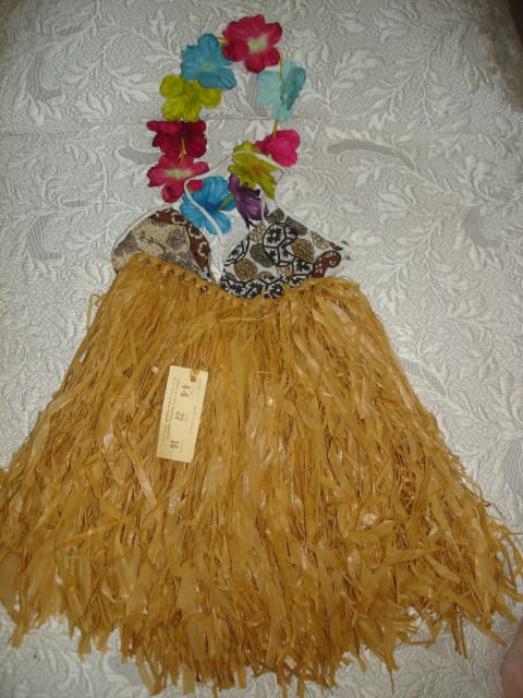 Hawaiian Grass Skirt (Child One Size) Length 41cm