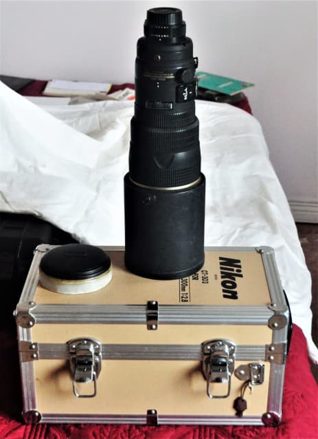 gumtree nikon lens
