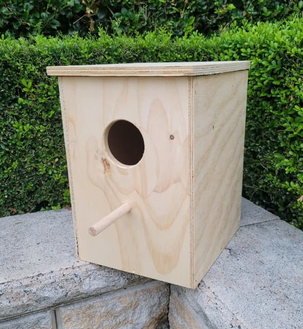 Cockatiel Nesting Box | Pet Products | Gumtree Australia Caboolture ...