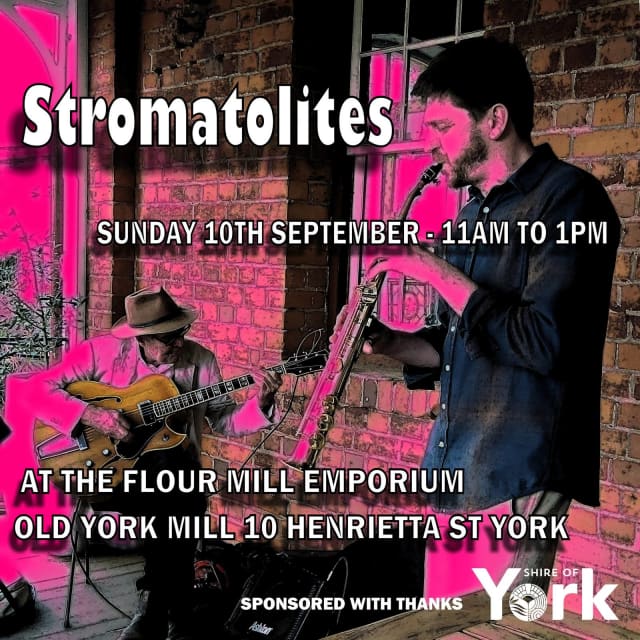 SUNDAY SESSION With The STROMATOLITES At The Flour Mill Emporium