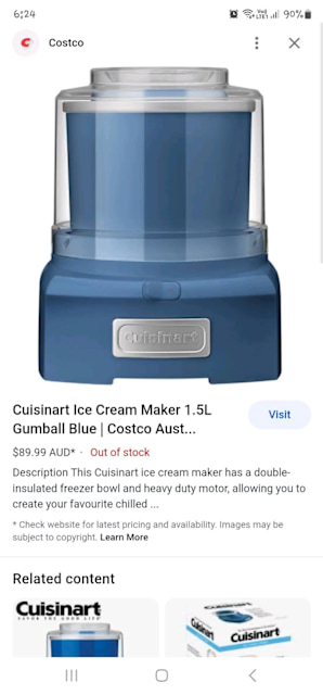 homedics steamer costco