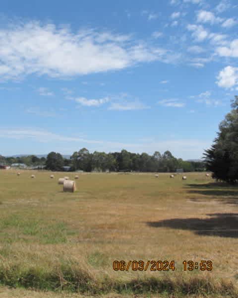 hay for sale | Livestock | Gumtree Australia Latrobe Valley - Morwell ...