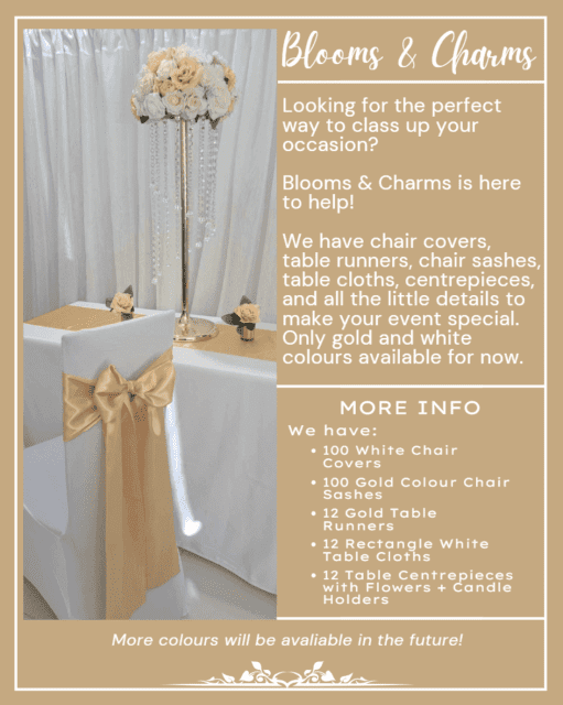 Party Items for Hire Party Hire Gumtree Australia Brisbane South