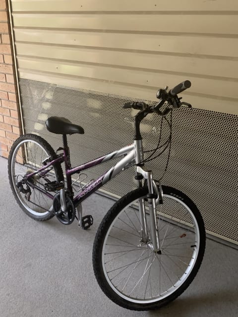 schwinn ranger 2.4 fs