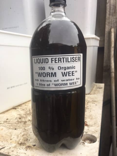 Liquid fertiliser worm wee, Plants