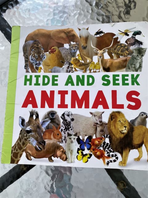 Kids Big Book Hide & Seek Animals Large Print Beautiful Illustrations | Children's Books | Gumtree Australia Brisbane South East - Carindale | 1306611483 Kids Big Book Hide & Seek Animals Large Print Beautiful Illustrations | Children's Books | Gumtree Australia Brisbane South East - Carindale | 1306611483