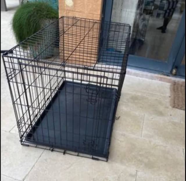 staffy dog crate