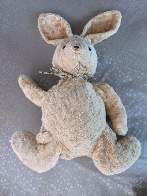 jellycat bunny david jones