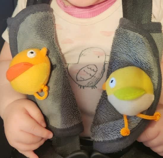 WTB Want to buy Baby Infant Seat Belt Strap Cover Pads with Birds