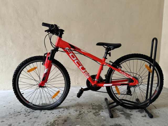 Focus Raven Rookie Junior Red Hardtail Mountain Bike Kid s Bicycles in North Ryde NSW Gumtree Australia