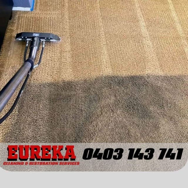 Carpet Tile Grout Regrout Lounge Sofa Cleaning Restoration Cleaning