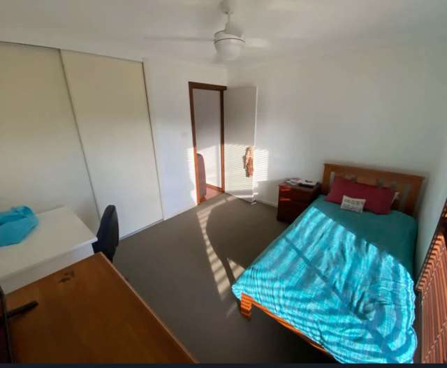 Room available in a 2 bedroom apartment 350 a week Property for