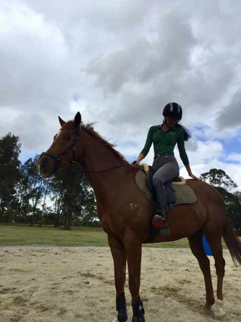 Stunning rising 10 year old OTTB Gelding - EOI Lease or sale | Horses ...