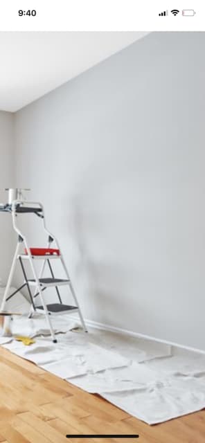 Professional Painter Cheapest Price In The Perth Painting   E8519328 5e95 4efc 9be5 Aed72bb9029f 