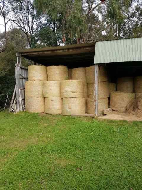 Shedded 2024 Hay | Farming Equipment | Gumtree Australia Yarra Ranges ...