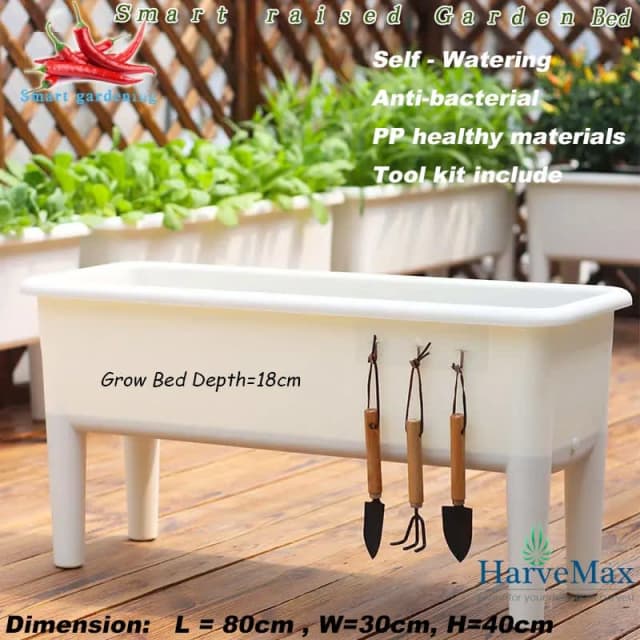 Auto Feed Raised Garden Bed Grow Bed SelfWatering Tomato Chilli Berry