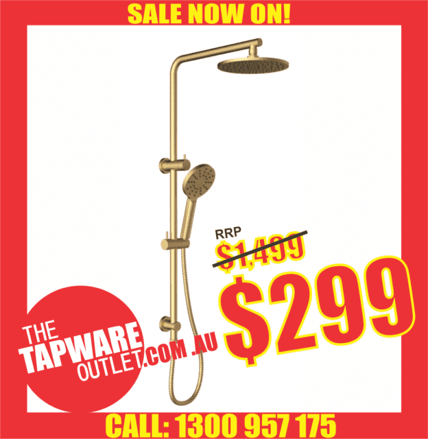 BRUSHED GOLD SHOWER UNIT SHOWER RAIL TWIN 2 IN 1 COMBO SHOWER HEAD